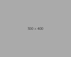300x400